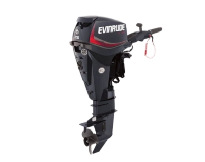 Evinrude-E25DPGL.jpg