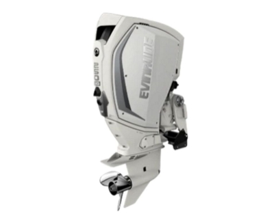 Evinrude-H250WXCA-250HP-Outboard-Motor.jpg